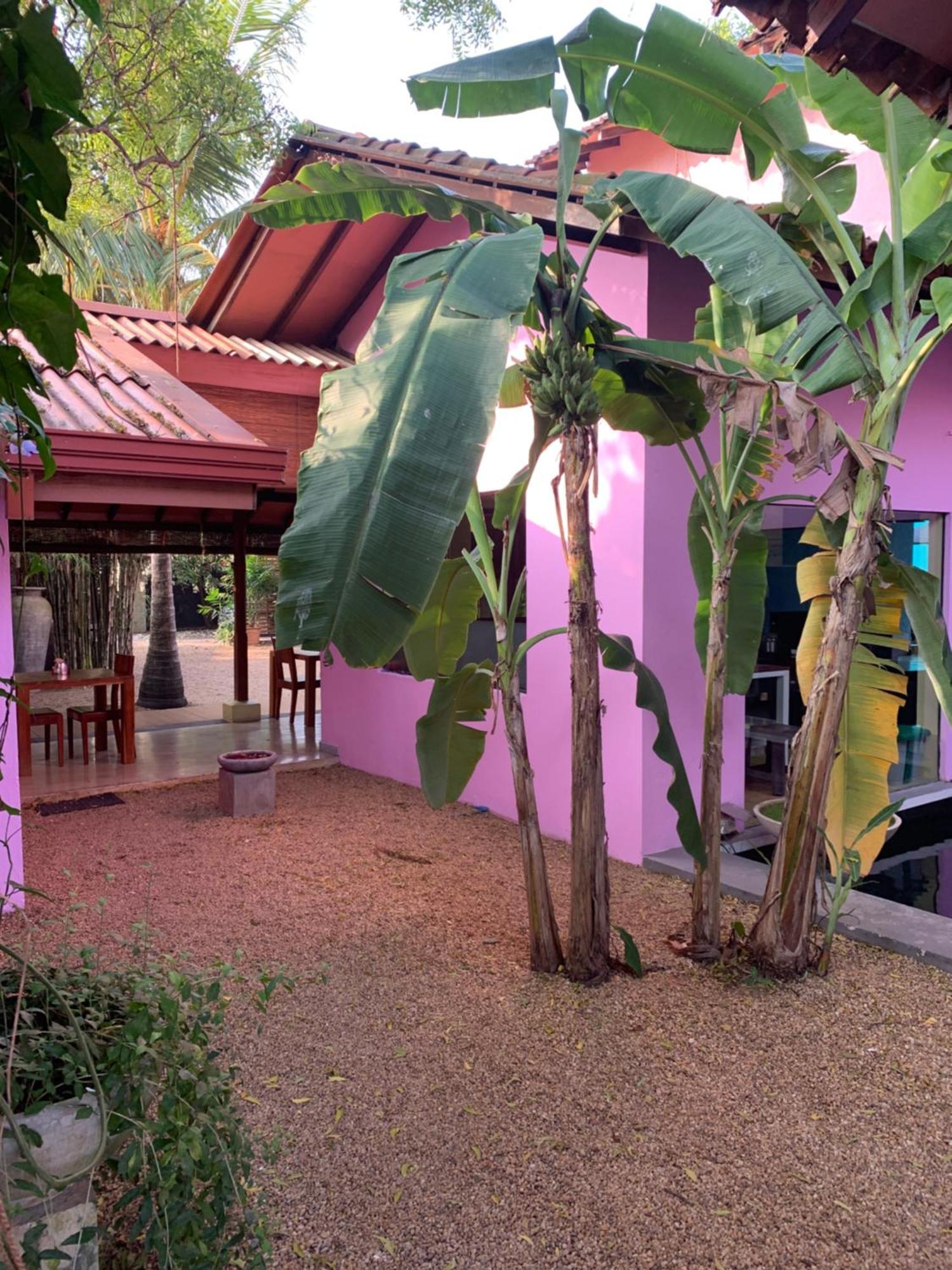 Dickman Resort "The Boutique Hotel" Negombo Exteriör bild