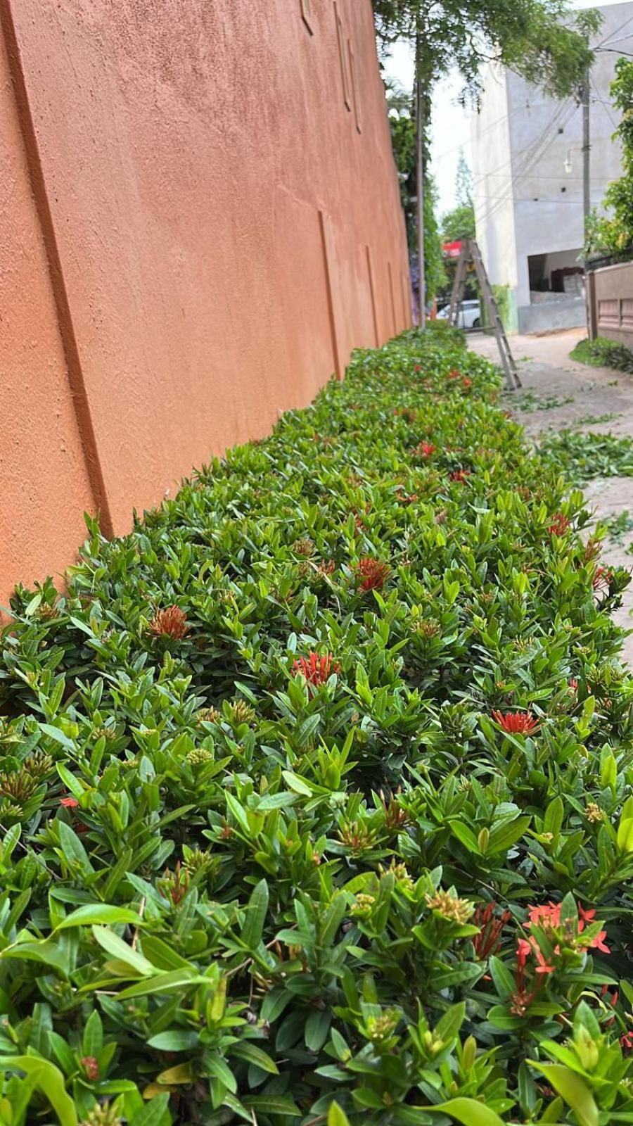 Dickman Resort "The Boutique Hotel" Negombo Exteriör bild