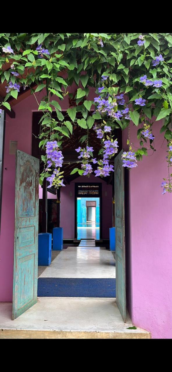 Dickman Resort "The Boutique Hotel" Negombo Exteriör bild